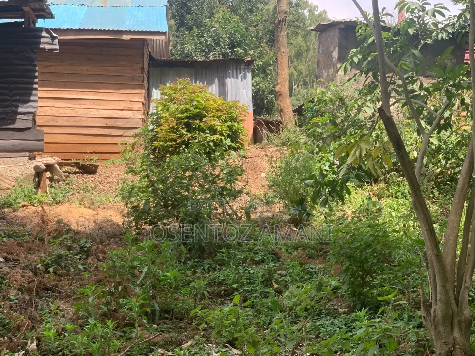 Land at Matassia