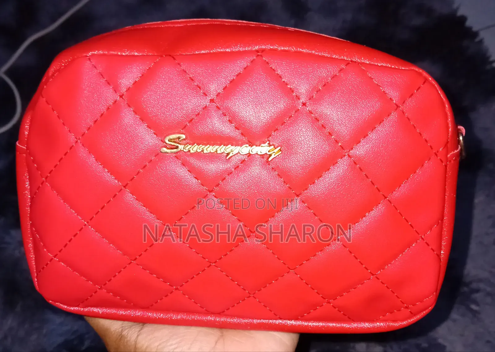 Women's Small Handbag in Different Colors