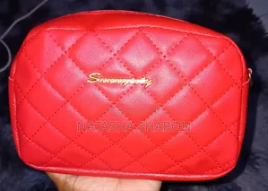 Women's Small Handbag in Different Colors