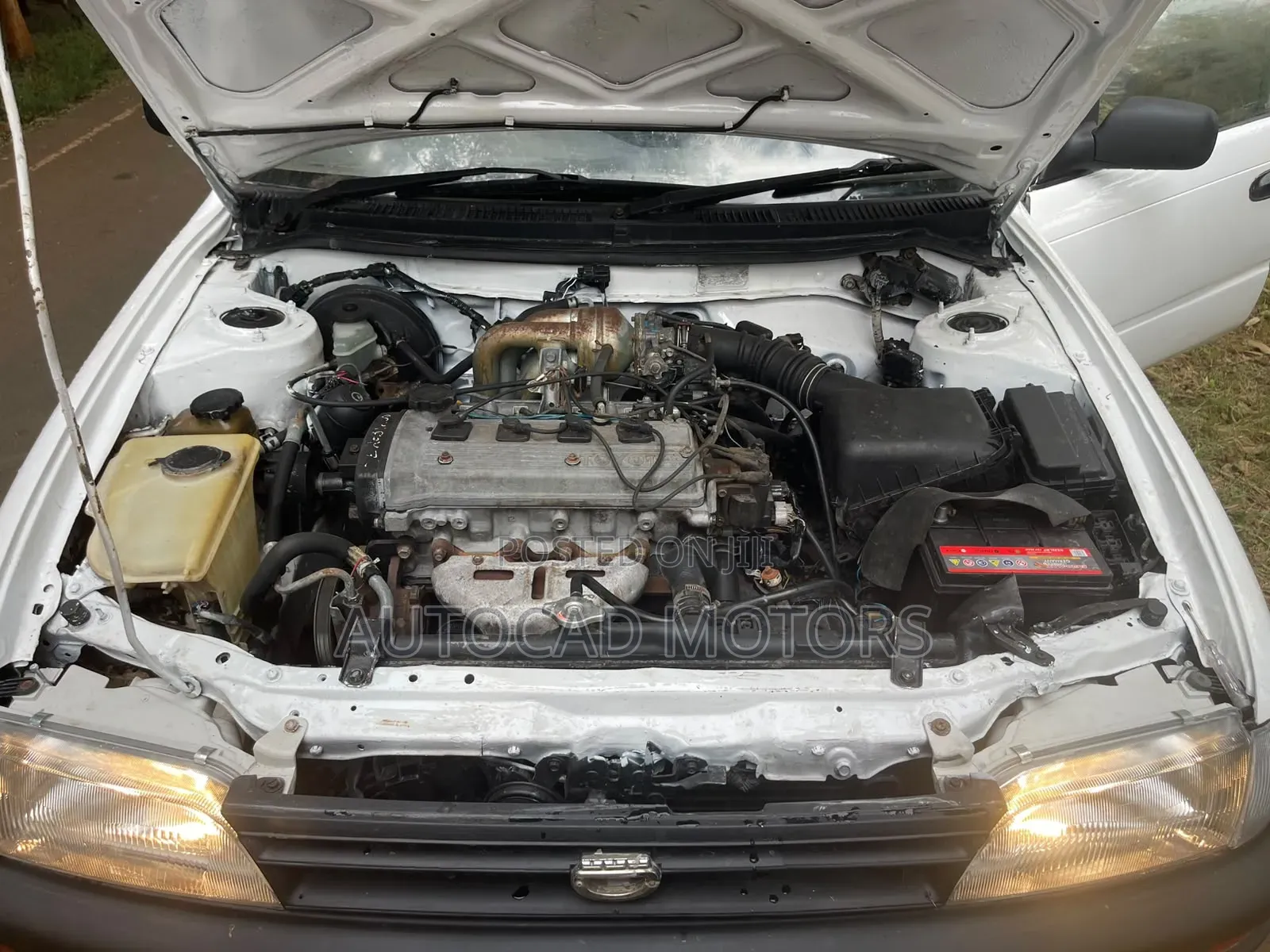 Toyota Corolla 2002 White