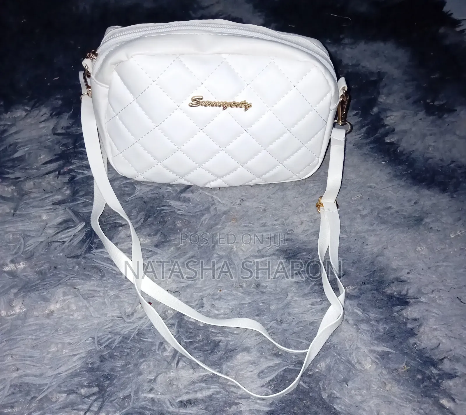 Women's Small Handbag in Different Colors