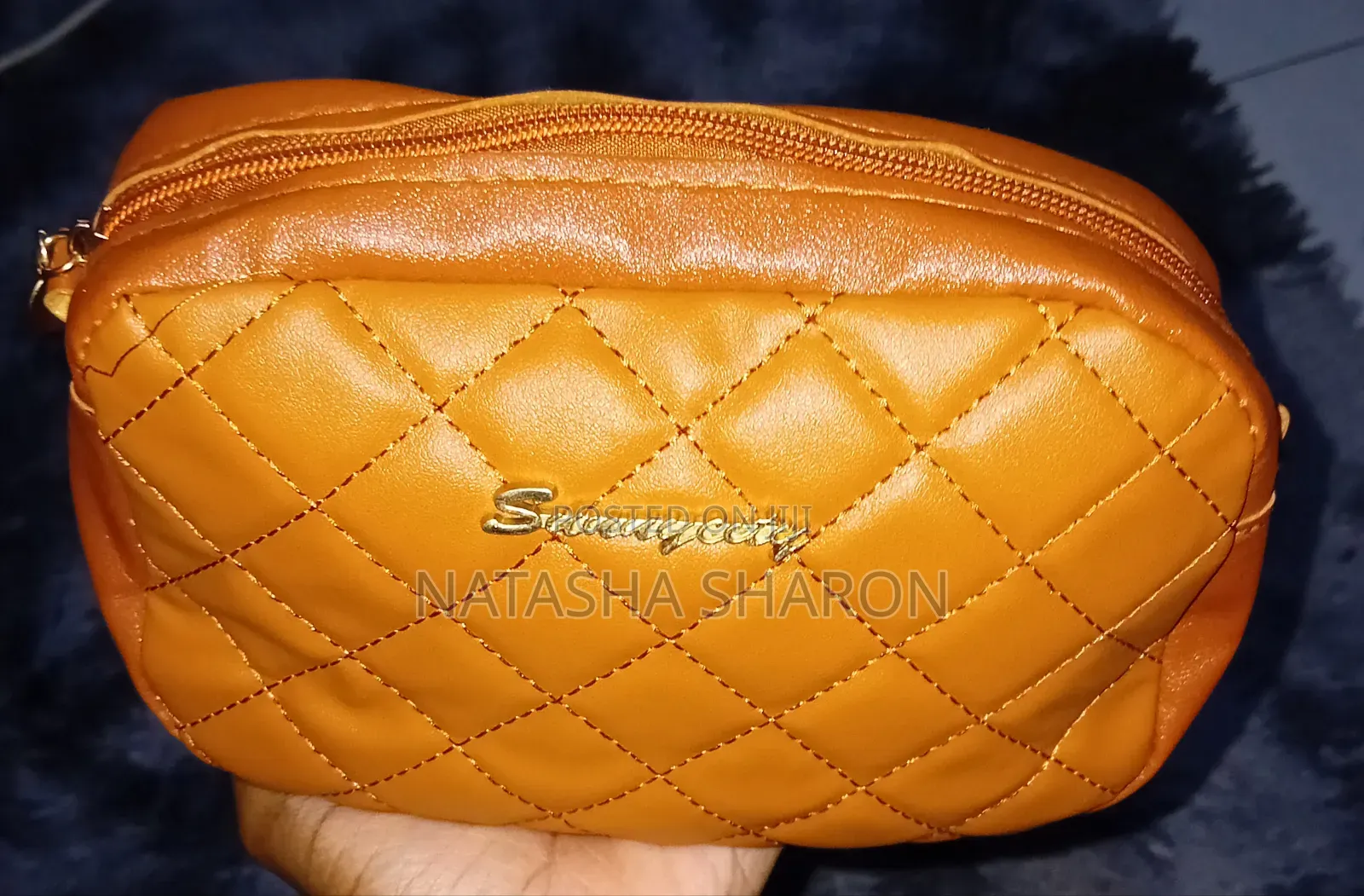 Women's Small Handbag in Different Colors