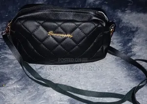 Women's Small Handbag in Different Colors
