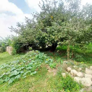 Plot for Sale in Lower Kabete