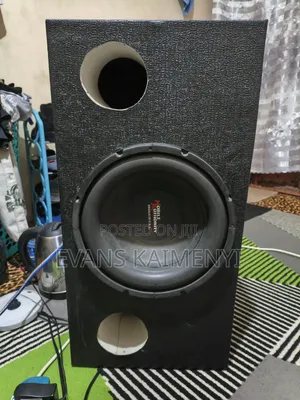 12 Inch Subwoofer