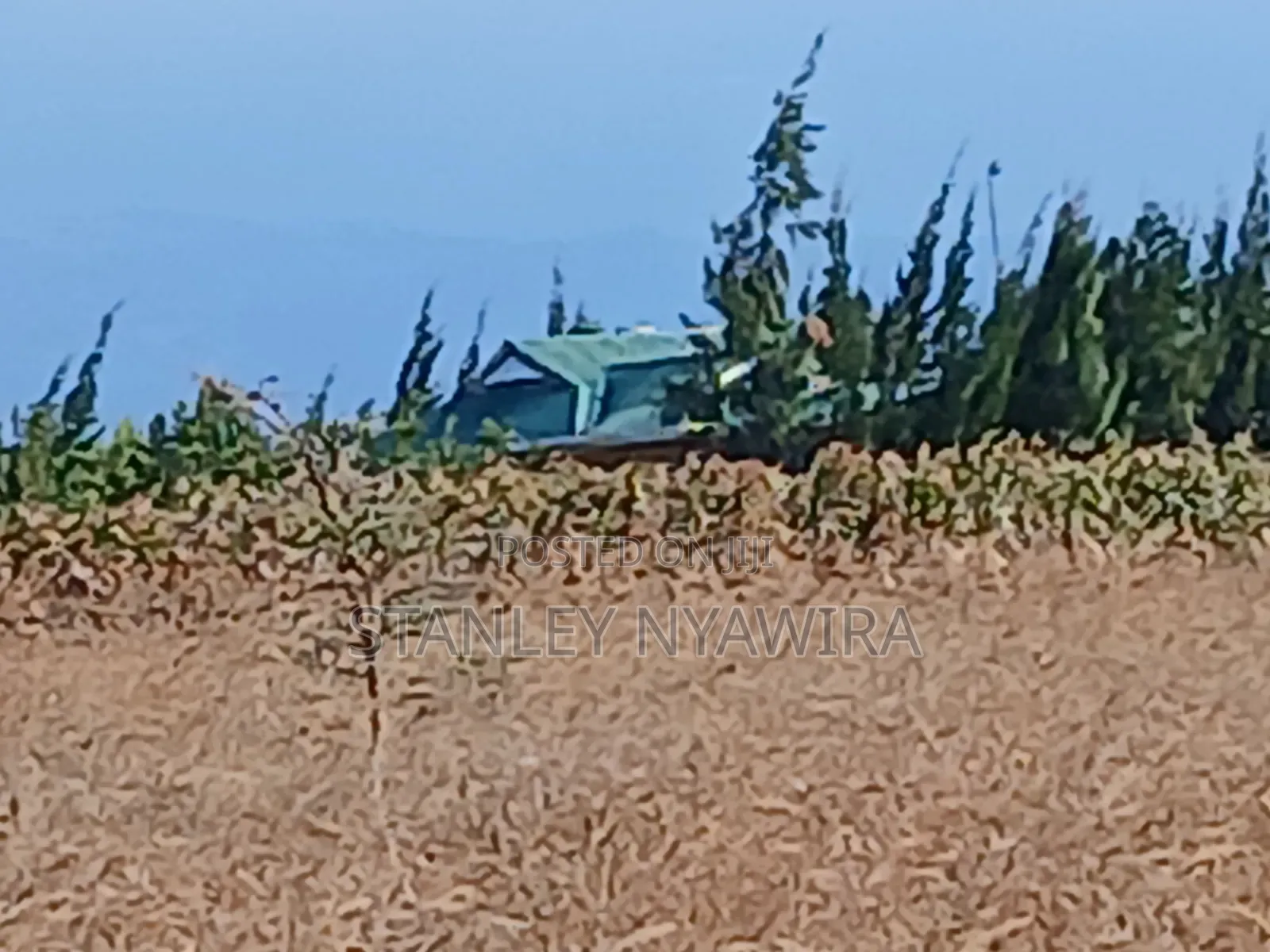 8 Acres Nanyuki Gobit