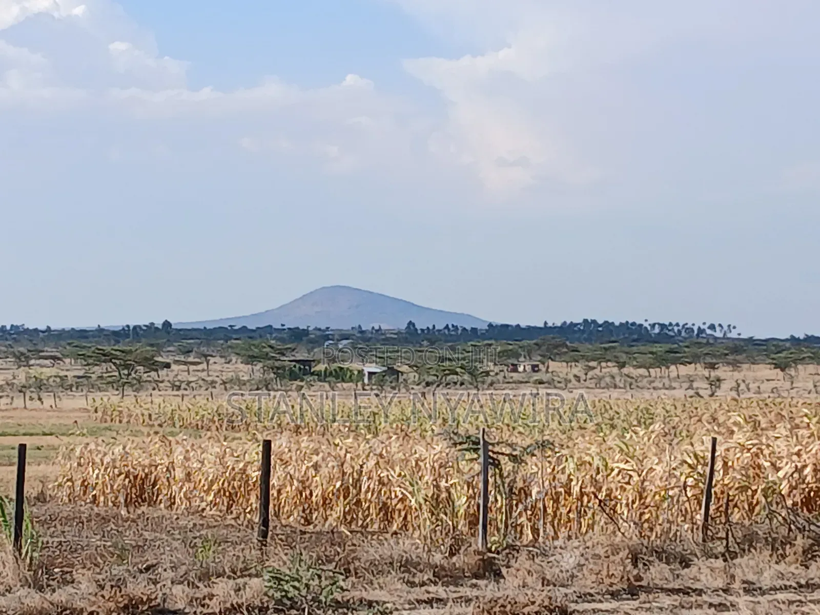 8 Acres Nanyuki Gobit