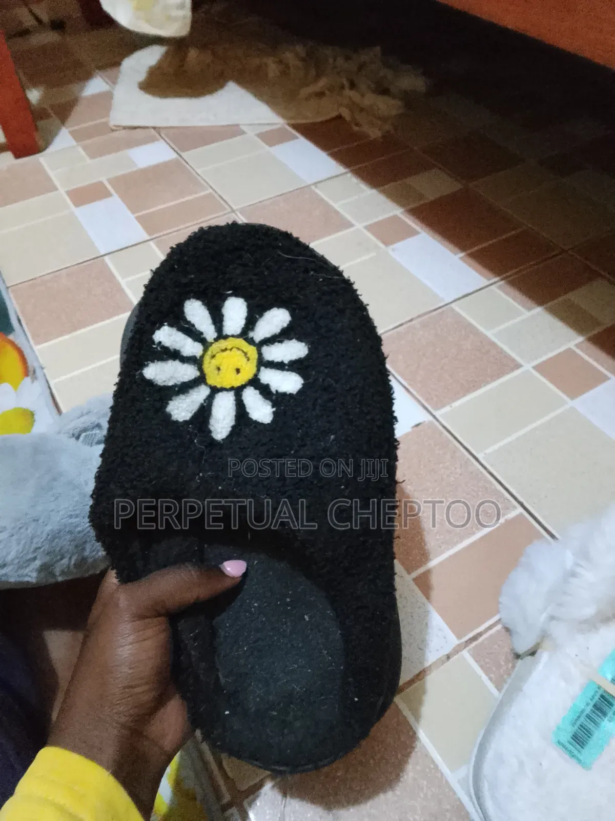 Fluffy Indoor and Outdoor Shoes