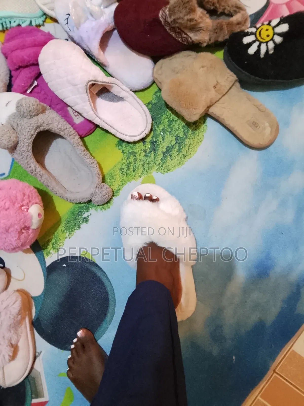 Fluffy Indoor and Outdoor Shoes