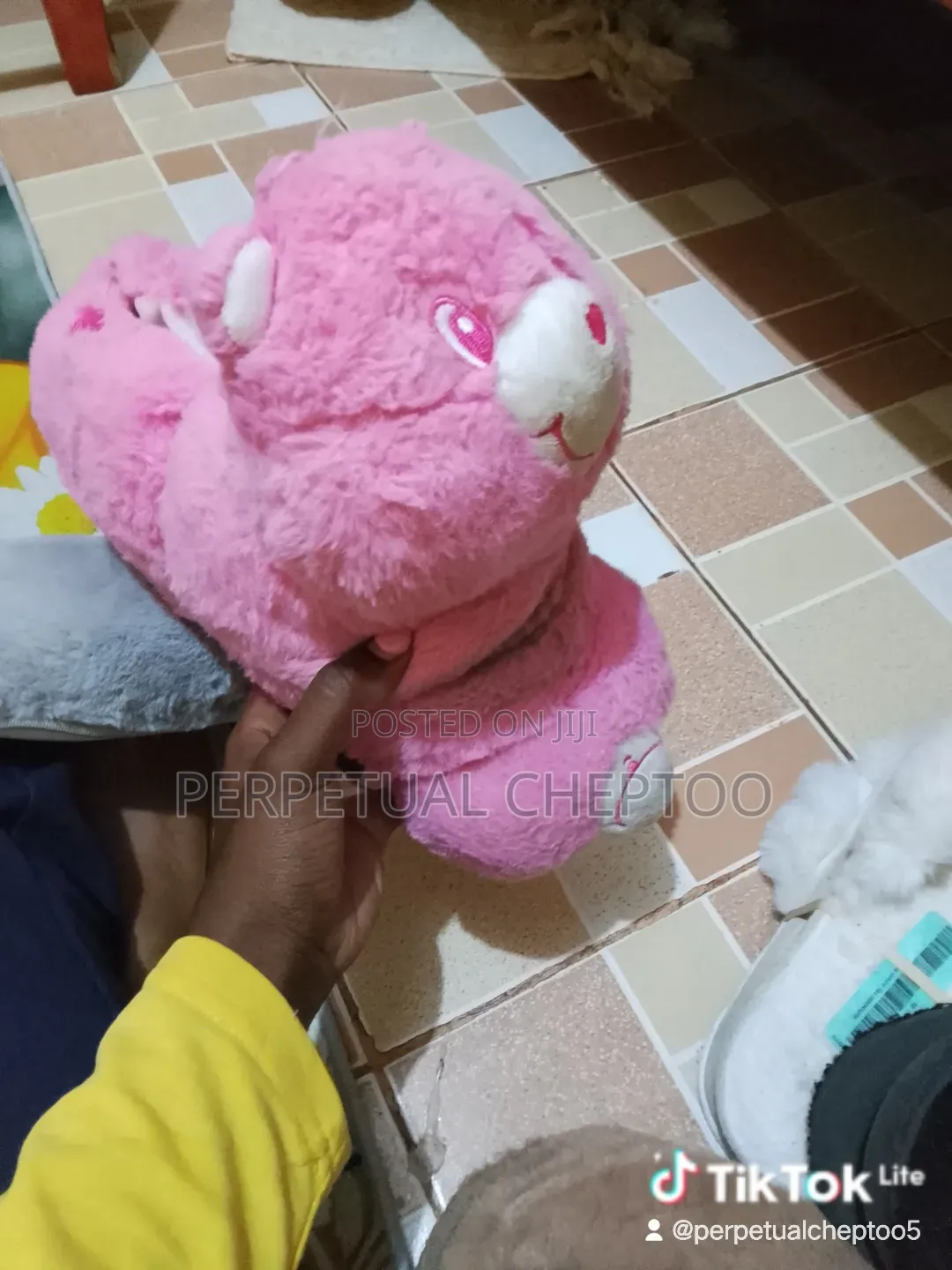 Fluffy Indoor and Outdoor Shoes