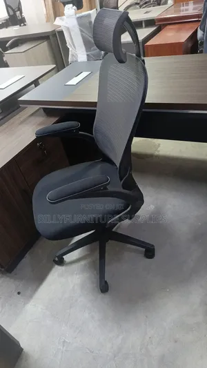 Professional Ergonomic Office Chair