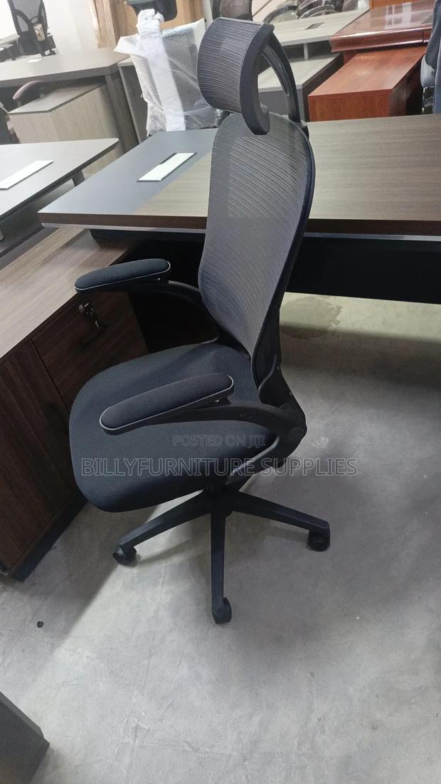 Professional Ergonomic Office Chair - main view