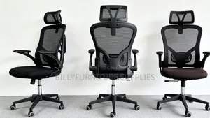 Professional Ergonomic Office Chair