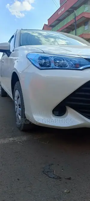 Car Tinting and Branding Services