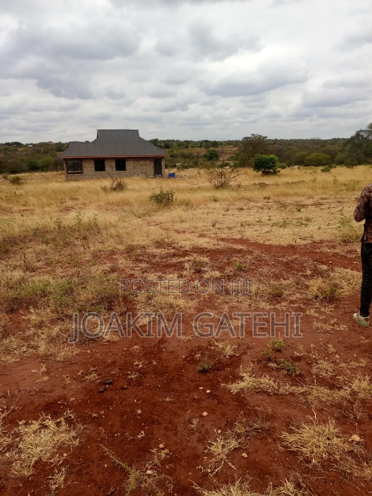 Neema Garden 2