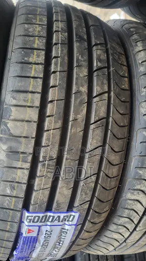 225/45r19 Goddard