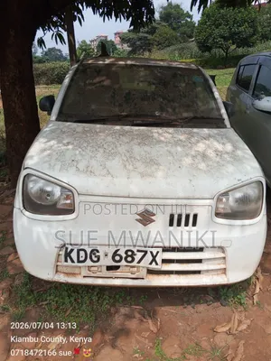Suzuki Alto 2015 White