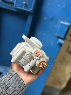 Power Steering Pump for Sitrak C7h/T7h Sino-Howo MAX(712W47101-2016/1)