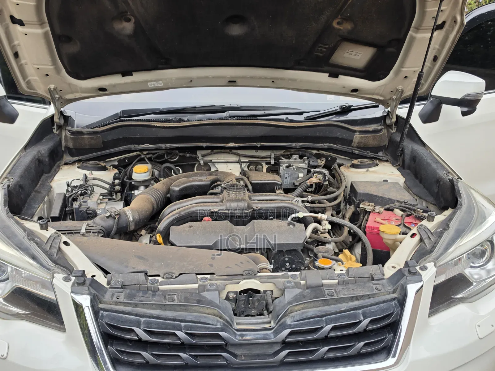 Subaru Forester 2016 Pearl