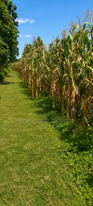 1 Acre for Sale in Namasanda - Bungoma