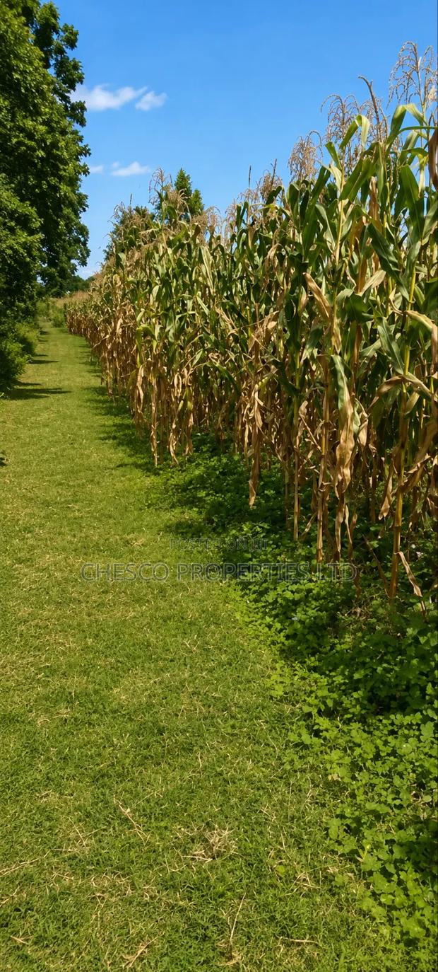 1 Acre for Sale in Namasanda - Bungoma
