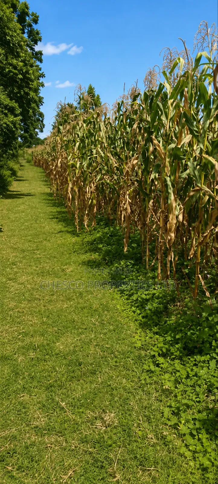 1 Acre for Sale in Namasanda - Bungoma
