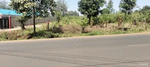 Plot for Sale