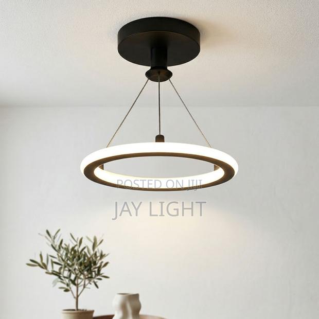 Luxury Modern Simple Small Metal Ceiling Chandeliers Pendant Light - main view
