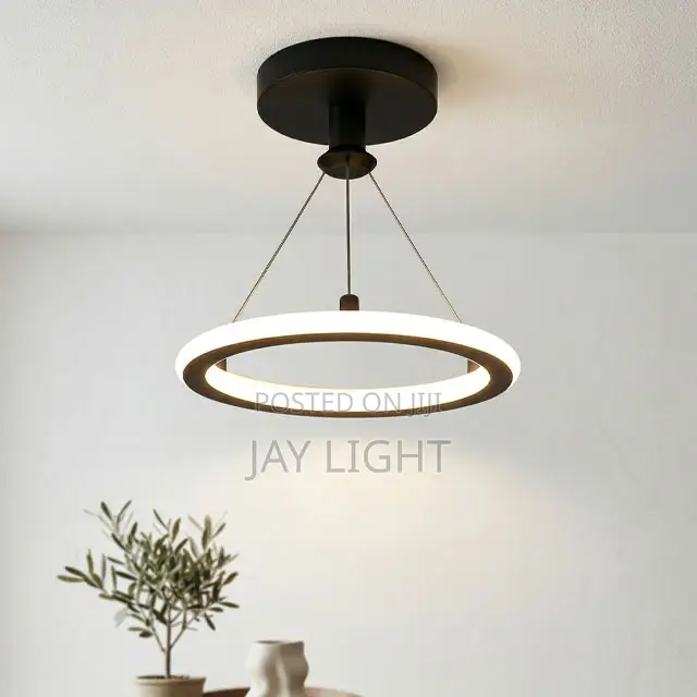 Luxury Modern Simple Small Metal Ceiling Chandeliers Pendant Light