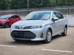 Toyota Axio 2018 Silver