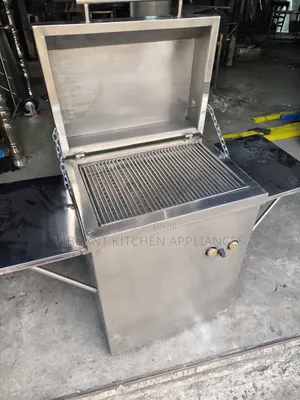Domestic Stainless Steel Grill – Home BBQ / Outdoor Cooking