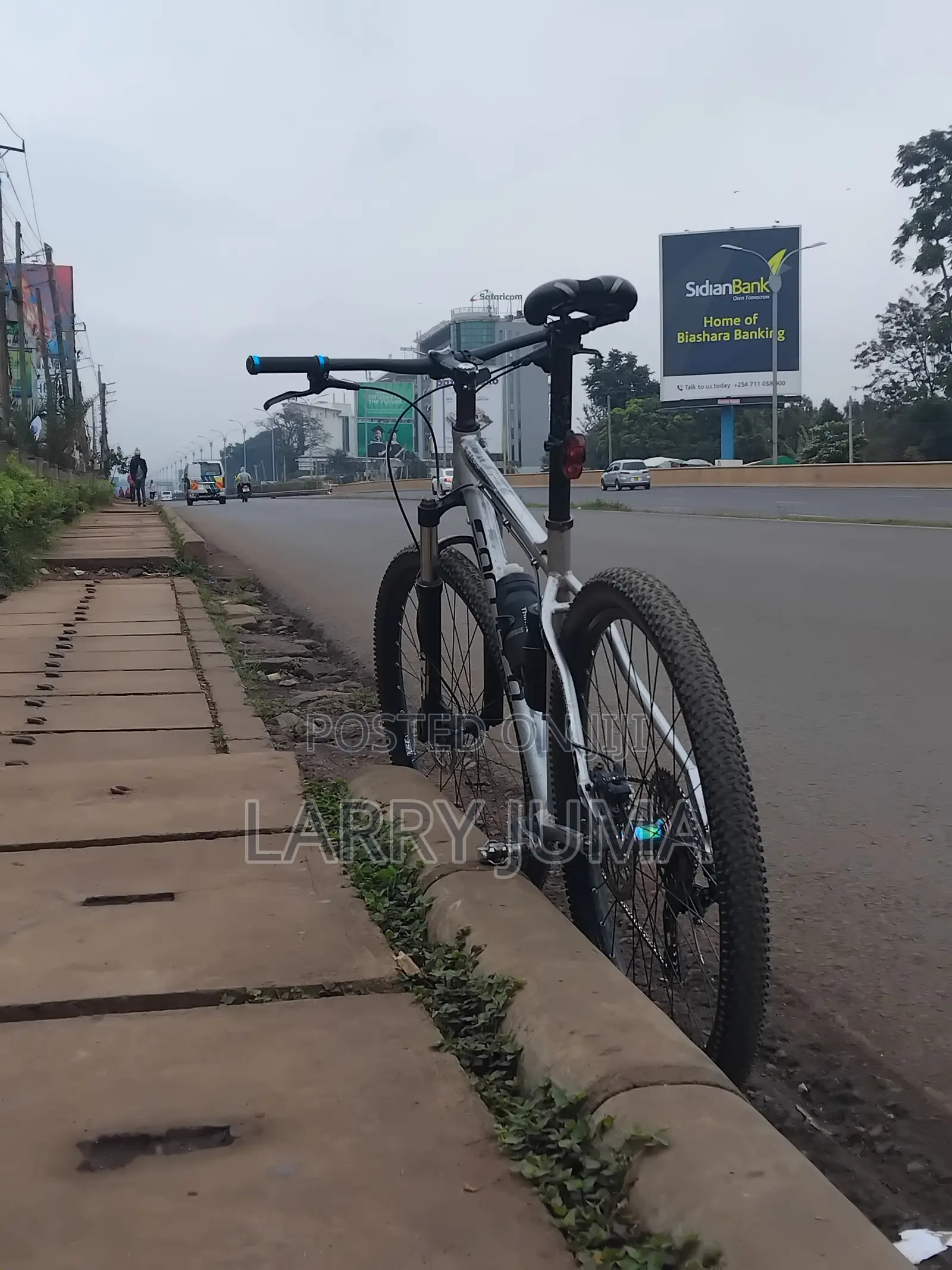 Mountain Bike