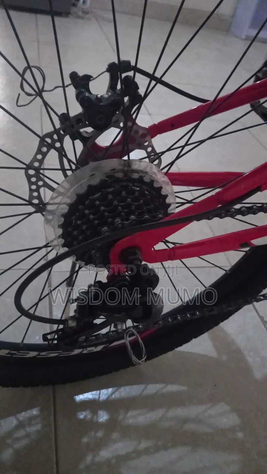 Mountain Bike