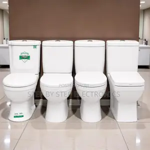Water Saving Dual Flush Ceramic Toilet for Modern Bathrooms