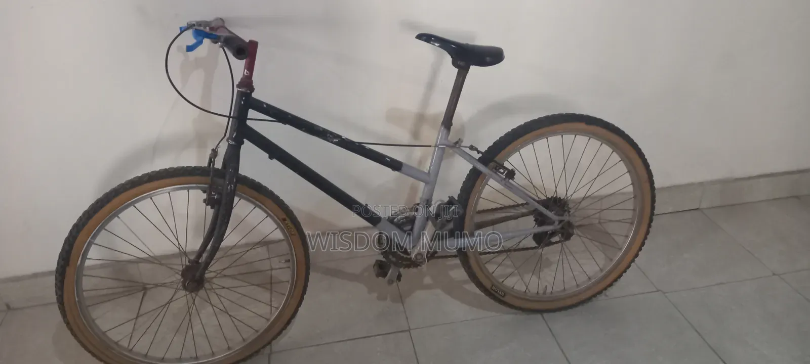 Mountain Bike