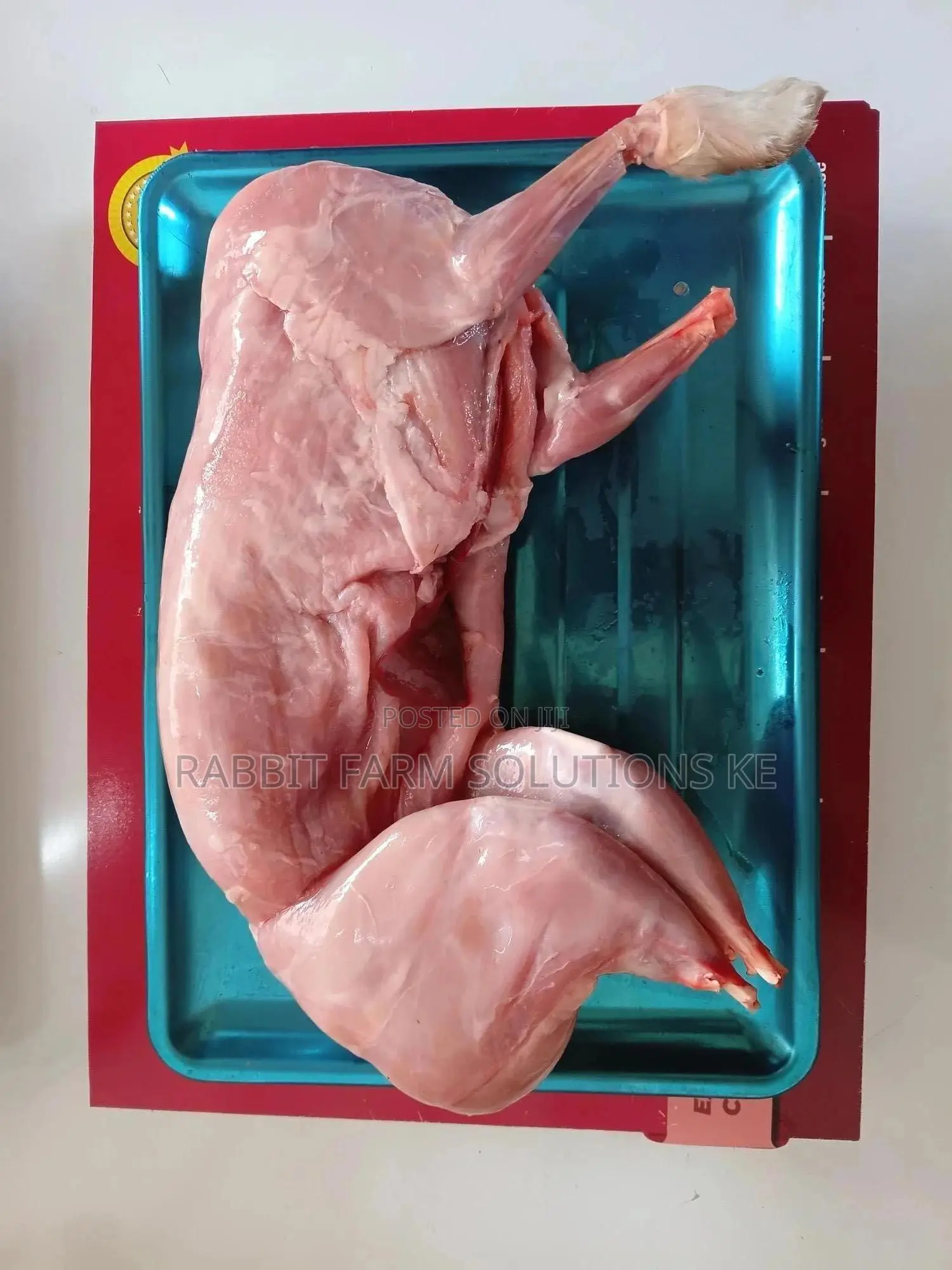 Rabbit Meat – Clean and Tender