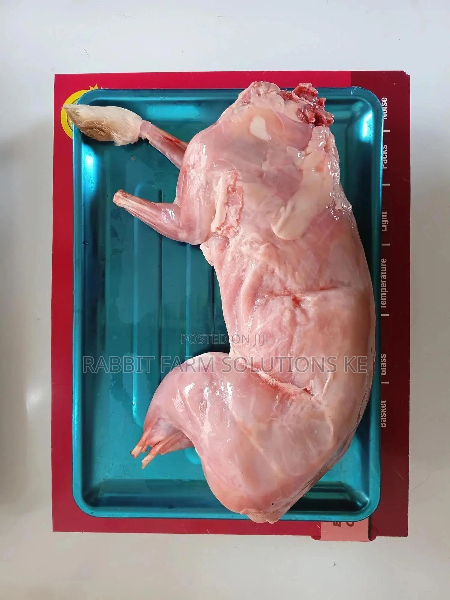 Rabbit Meat – Clean and Tender