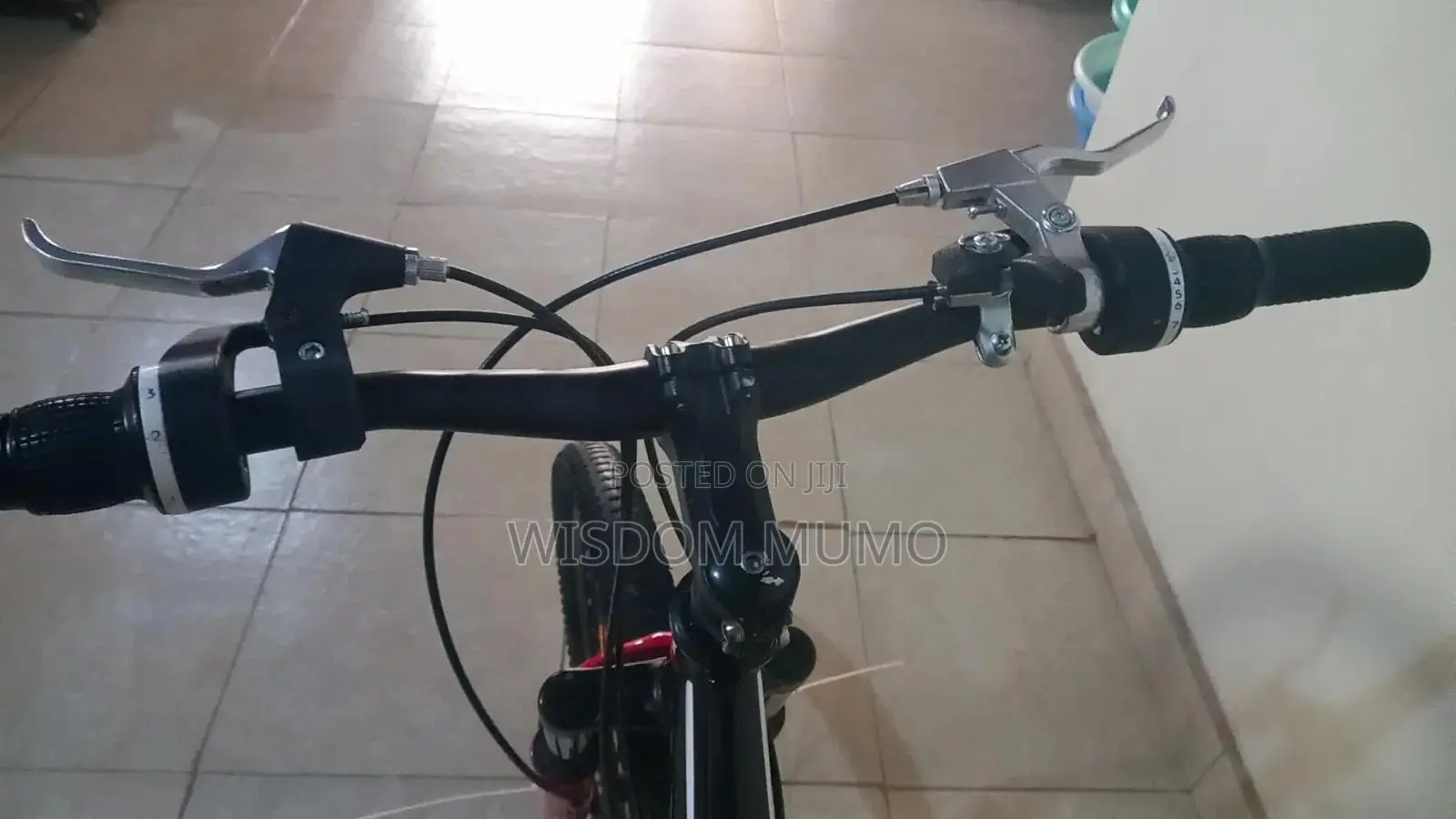 Mountain Bike