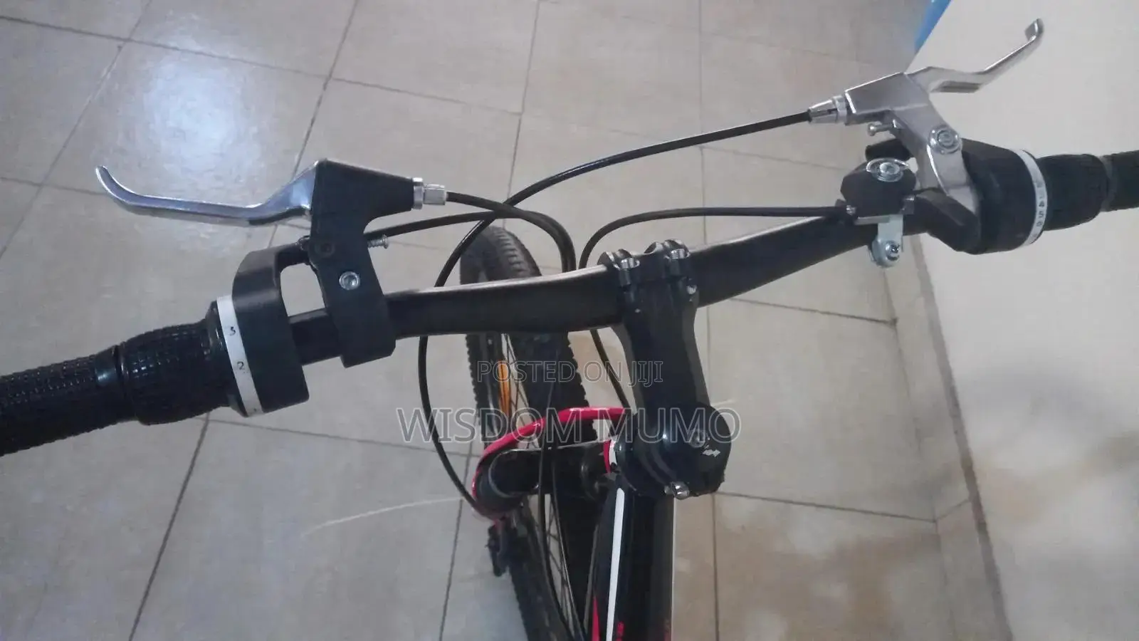 Mountain Bike