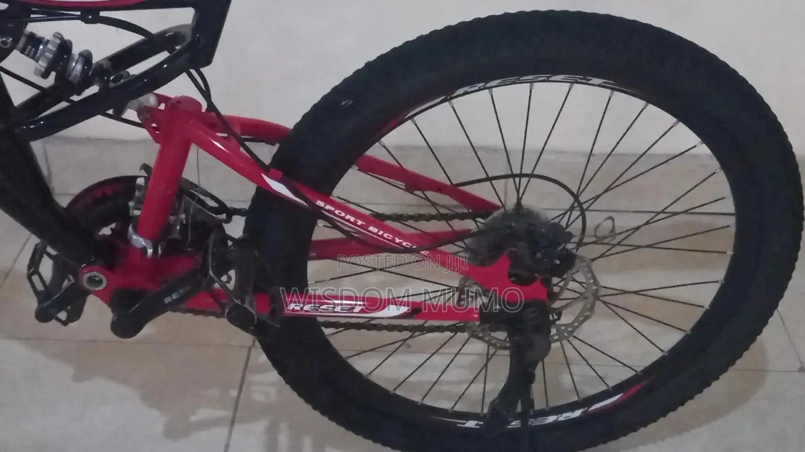 Mountain Bike