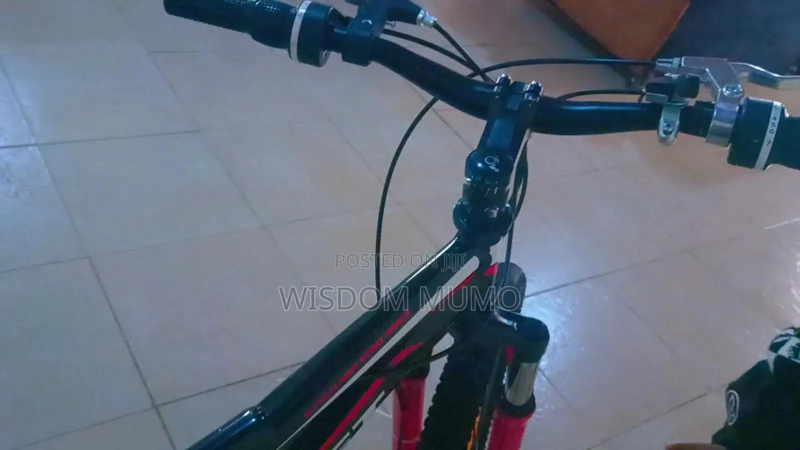 Mountain Bike