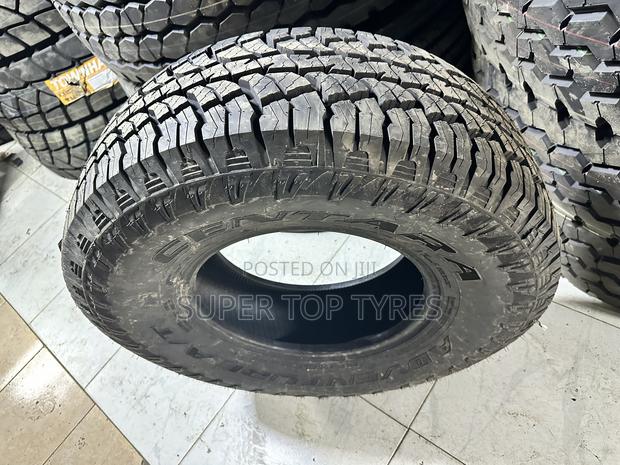 31*10.r15 CANTARA - thumbnail 2
