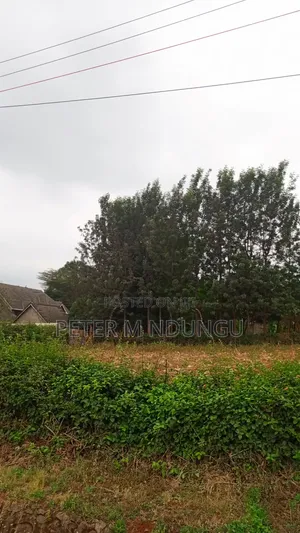 Muthithi-Njathaini Road-Kivuli Estate, Residential 1/4 Acre Plot