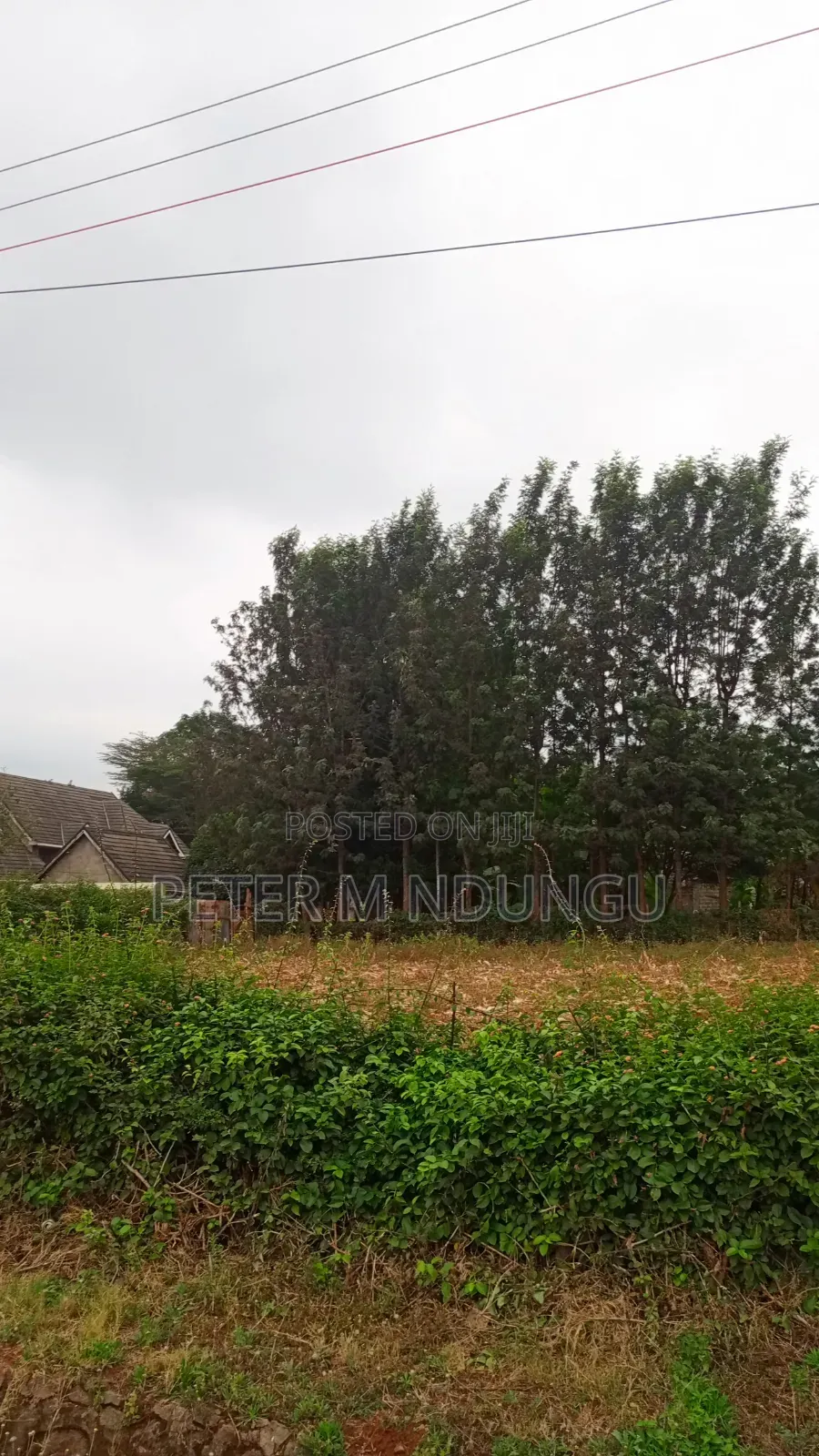 Muthithi-Njathaini Road-Kivuli Estate, Residential 1/4 Acre Plot