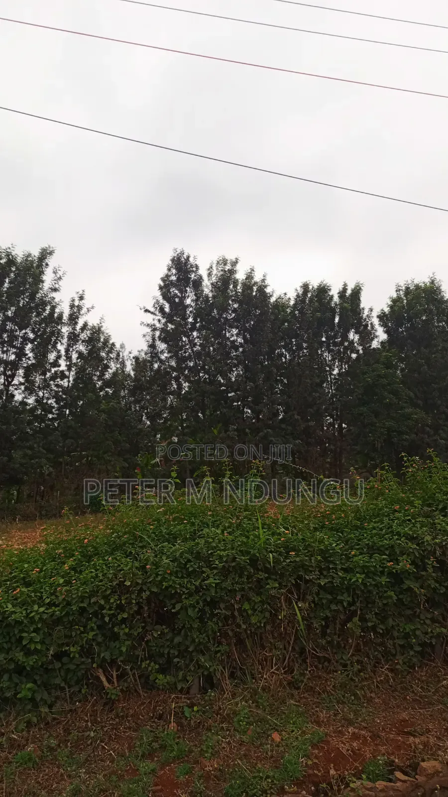Muthithi-Njathaini Road-Kivuli Estate, Residential 1/4 Acre Plot