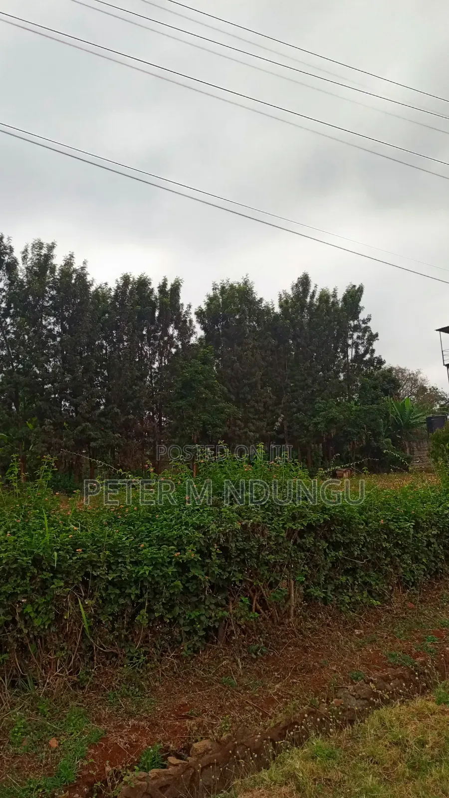 Muthithi-Njathaini Road-Kivuli Estate, Residential 1/4 Acre Plot