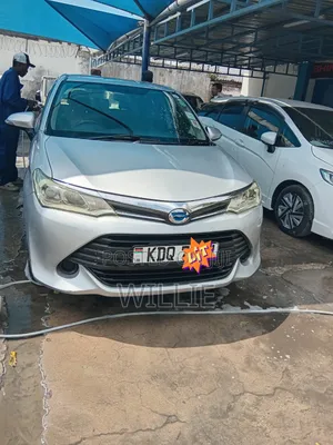 Toyota Corolla Fielder 2017 Silver