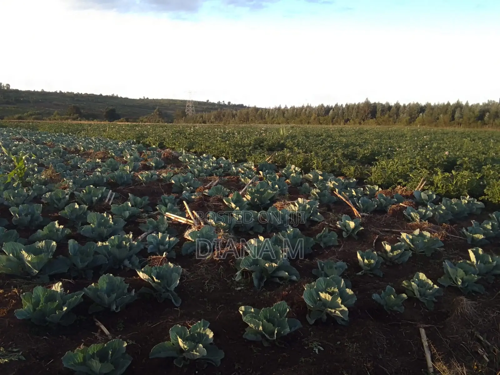 15 Acres for Sale in Ndaragwa