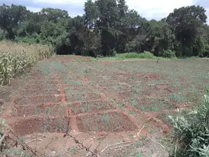 15 Acres for Sale in Ndaragwa