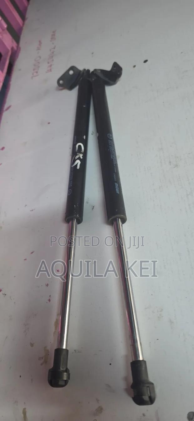 Cx5 2015 Boot Shocks